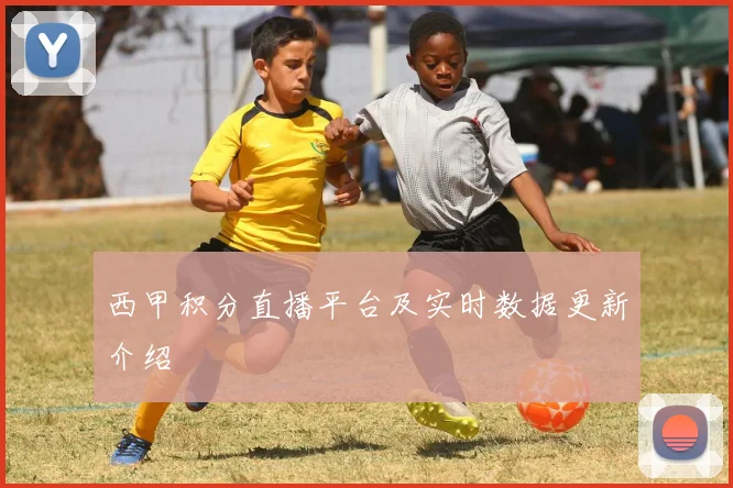 西甲积分直播平台及实时数据更新介绍