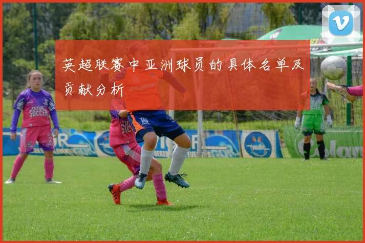 英超联赛中亚洲球员的具体名单及贡献分析